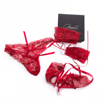 D221 Just for You Diamor Lingerie Gift Set in Red