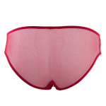 Diamor brief in red of transparent black tulle, back
