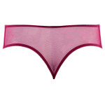 Exclusive thong panty in bordeaux, back