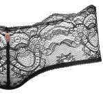 Luxury lace panty, close-up